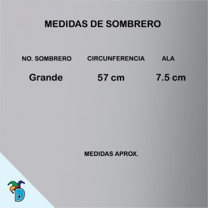 Sombrero 4 Pedradas Villa